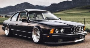 BMW E24